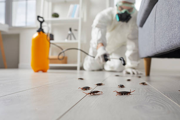 Post-Treatment Bed Bug Interceptor Monitoring in Port Salerno